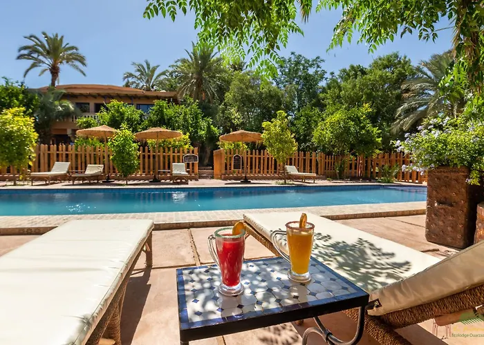 Ecolodge La Palmeraie