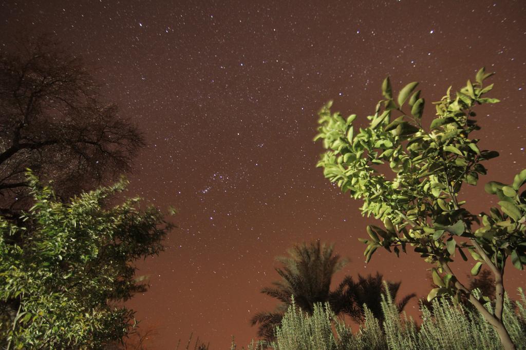 بيت ضيافة La Palmeraie Tajda