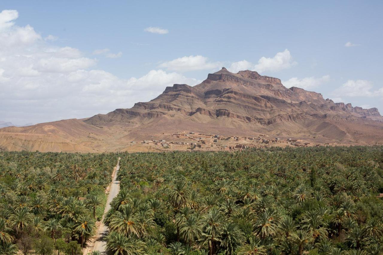La Palmeraie بيت ضيافة